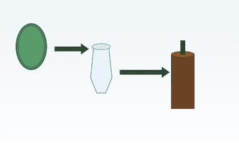 CBD Öl Herstellung – Vom Hanfanbau bis zur fertigen Flasche